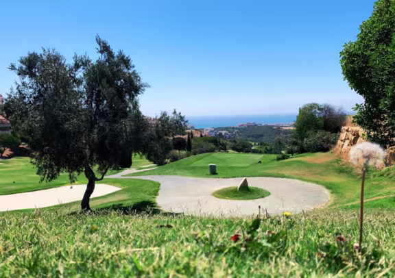 Image Dona Julia Golf